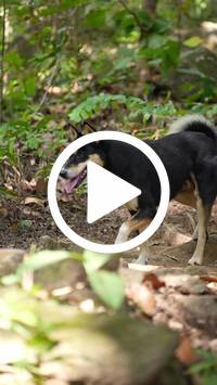 BIB:  <button type="button" onclick="openModal(27579933)" class="btn btn-primary btn-sm float-right" data-toggle="modal" data-target=".modal-high-quality">
                <i class="fa fa-download"></i> Download
                </button>